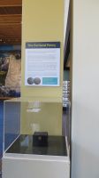 Portland Penny